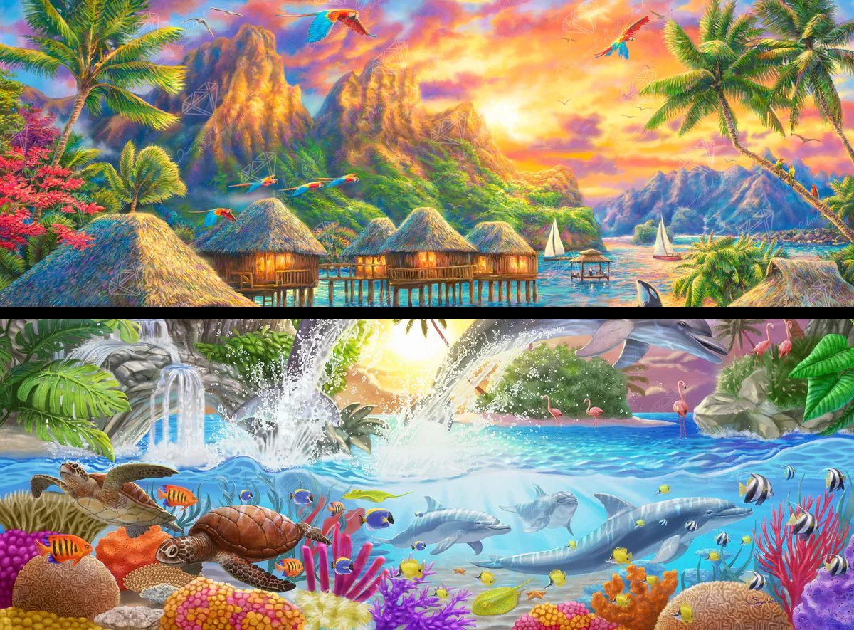 Tropical Dolphins & Tropical Oasis