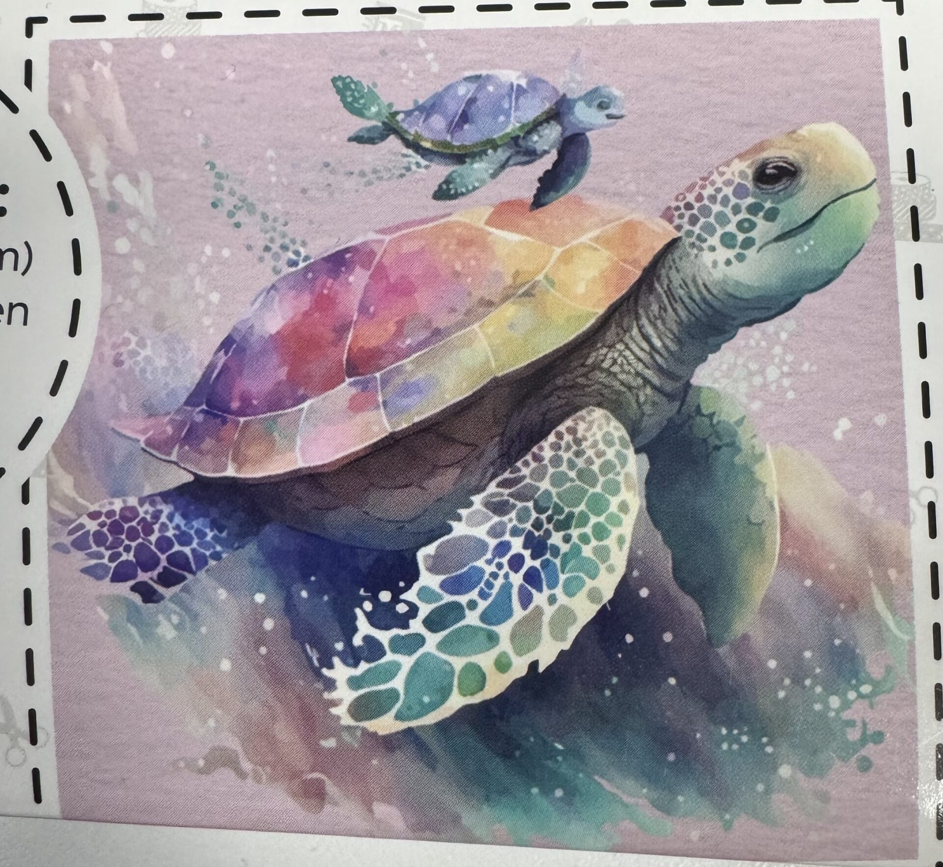 Turtle